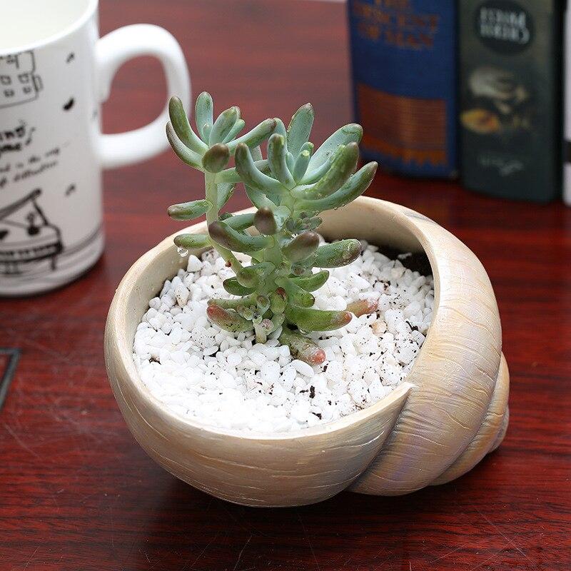 Escargot Shape Succulent Pot-ChicBohoStyle