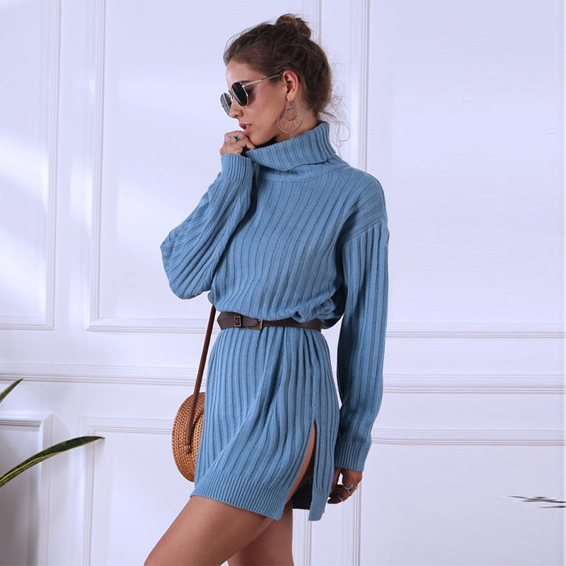 Loose Turtleneck Dress